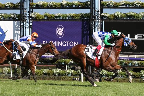 cantala stakes field|Cantala Stakes .